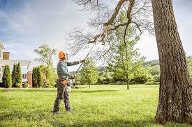How Our Tree Care Process Works  in  Emmonak, AK